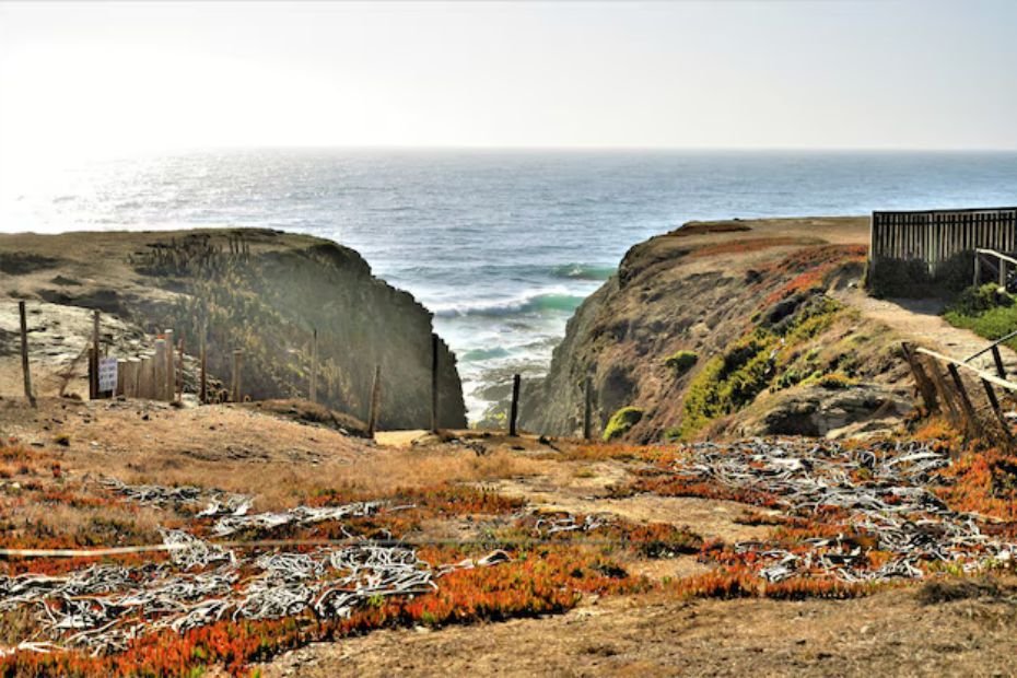 Scenic Beauty of the Oregon Coast