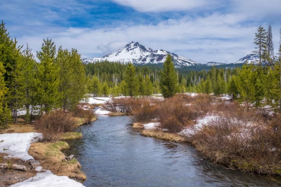 Views of Mount Rainier National Park in Washington