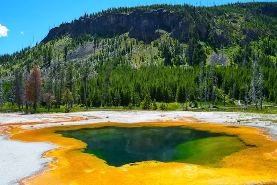 Yellowstone National Park